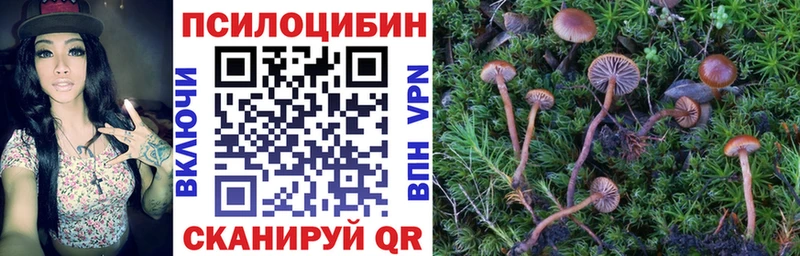 Псилоцибиновые грибы мицелий  Купить где  Красноперекопск 